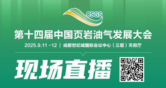 油气发展大会