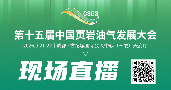 油气发展大会